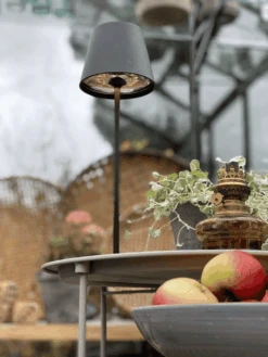 ALED 5702062810201 Calida Mini Schwarz, Induktionsladung, Dimmbar, 2,2W, 190lm, CRI97, IP54 -Laden Für Heimbeleuchtung 2c08cfc266e3232312c0a2a658af4c3056c0fc30