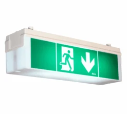 B.E.G. 7894 2DN14/8/EVG/W/DBEG Safetylux Notleuchte Classic