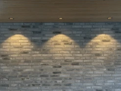 ALED 5703059001404 LED Downlight EVO D IsoSafe Sunfall Outdoor/Indoor 7W 560lm 2500-3000K 60° CRI95 IP54 Schwarz Ausschnitt 83mm -Laden Für Heimbeleuchtung bcbf07883ec484f17a400654c36e0871e04e3253